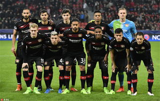 张伟-初级工程师